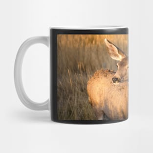 Mule Deer in Afternoon Light Mug